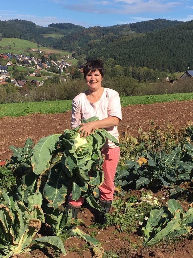 Mattenhof Zell am Harmersbach Zewnętrze zdjęcie
